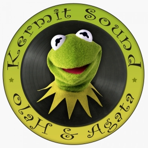 20080911224901kermint.jpg